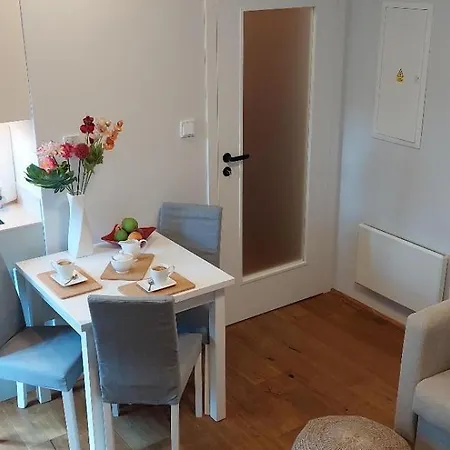 Andrasa V Krkonosich Se Saunou A Terasou Apartmán Semily